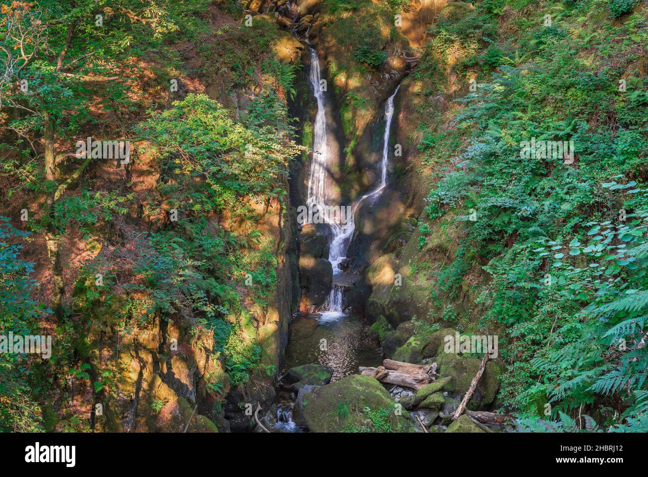 Stock Ghyll Ambleside, vista di Stock Ghyll, un fiume lakeland che cade attraverso il bosco sopra Ambleside e corre attraverso la città, Cumbria, Regno Unito Foto Stock