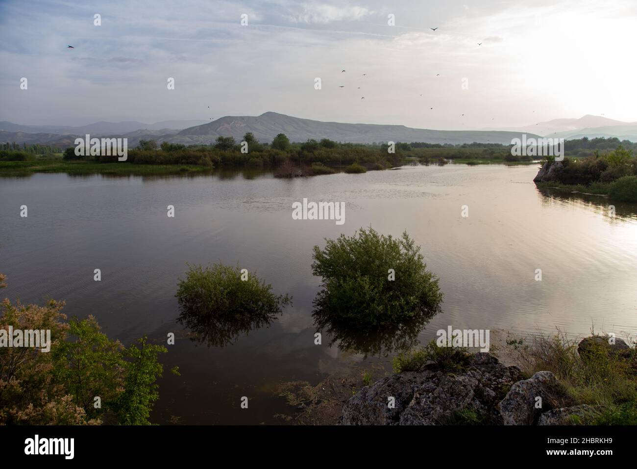 Vista sulle montagne, sul lago e sul paradiso degli uccelli di Nallihan. Foto Stock