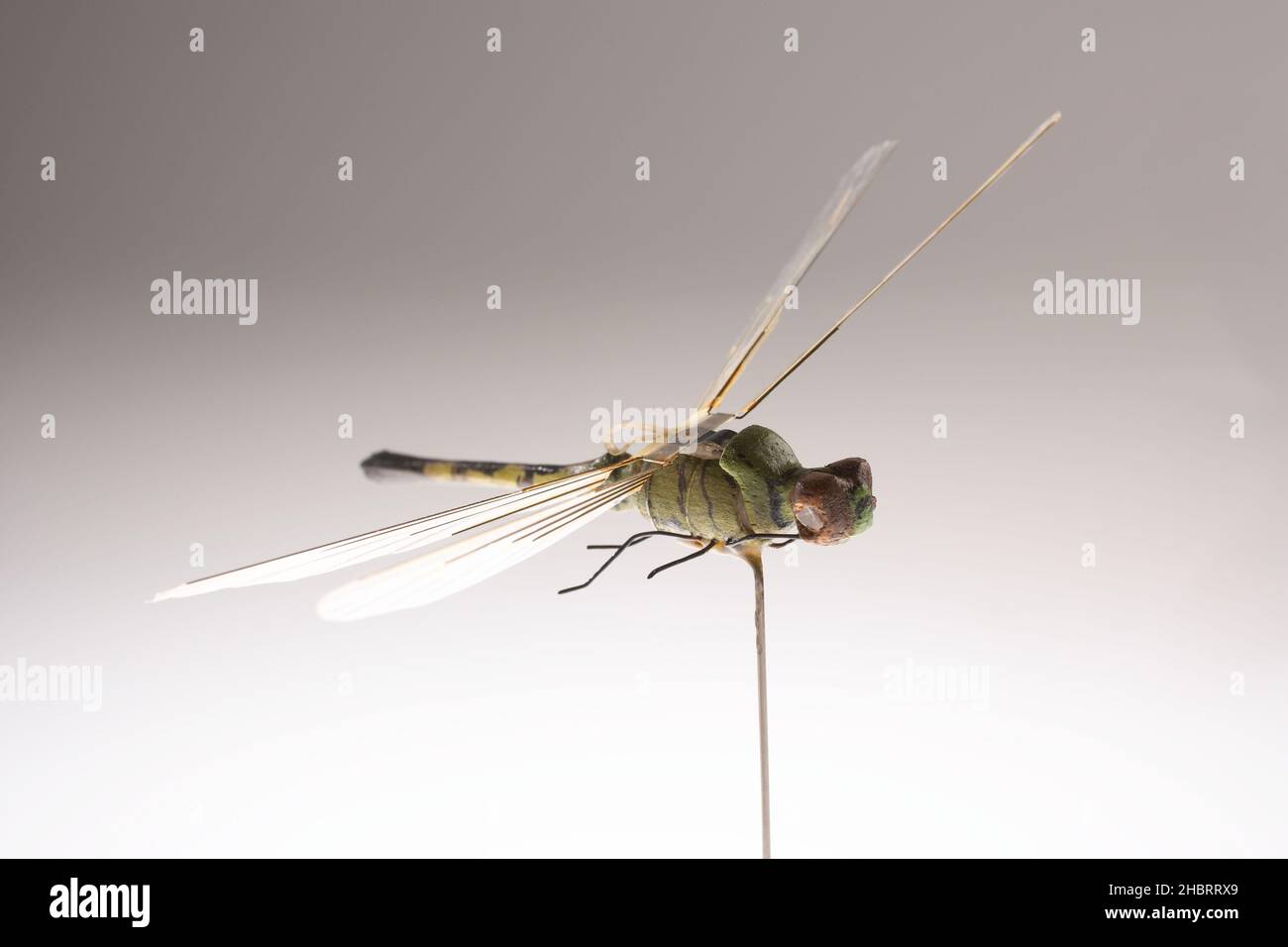 Vintage CIA Tools: The Insectothopter - sviluppato dall'Ufficio di Ricerca e sviluppo della CIA nel 1970s, questo micro Unmanned Aerial Vehicle (UAV) è stato il primo volo di un veicolo aereo di dimensioni insetto (Insectothopter). Si trattava di un'iniziativa per esplorare il concetto di raccolta di informazioni tramite piattaforme miniaturizzate Foto Stock