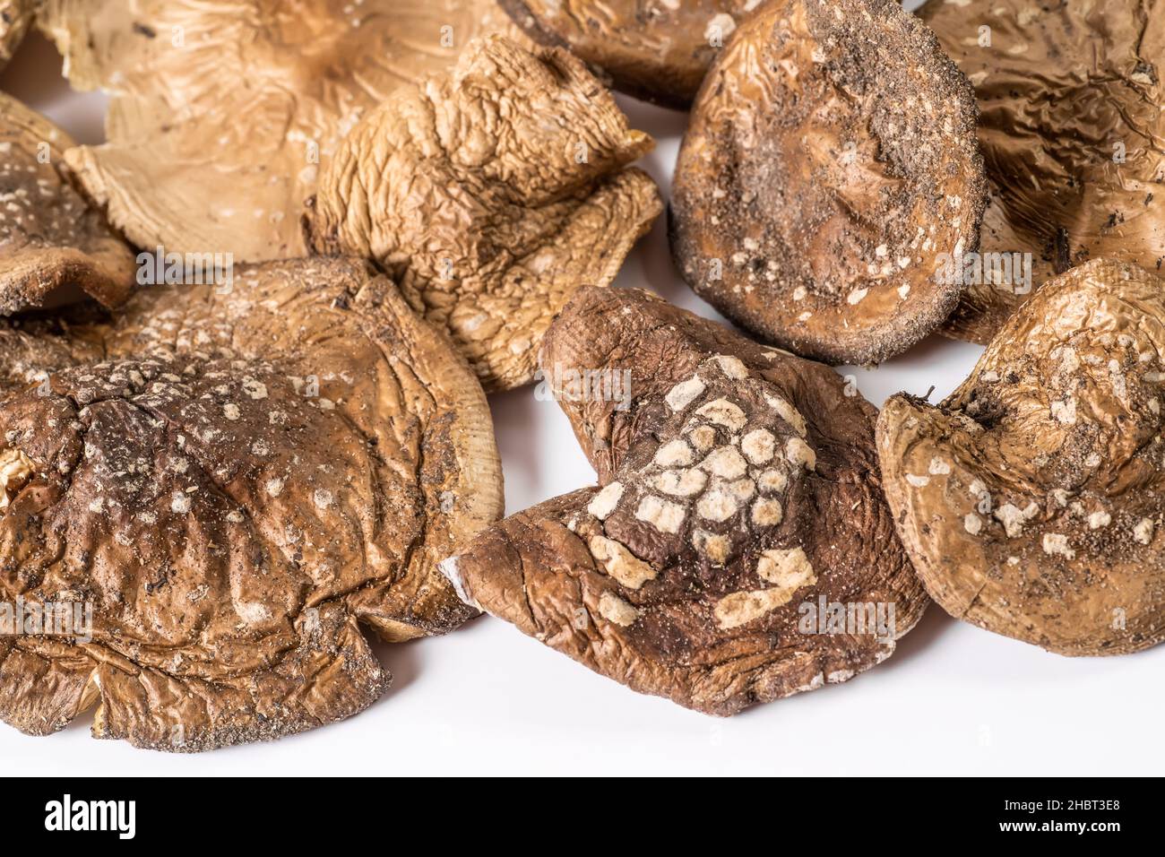 Funghi velenosi essiccati Amanita pantherina per l'uso in medicina erboristica alternativa e terapia di micro dosaggio. Foto Stock