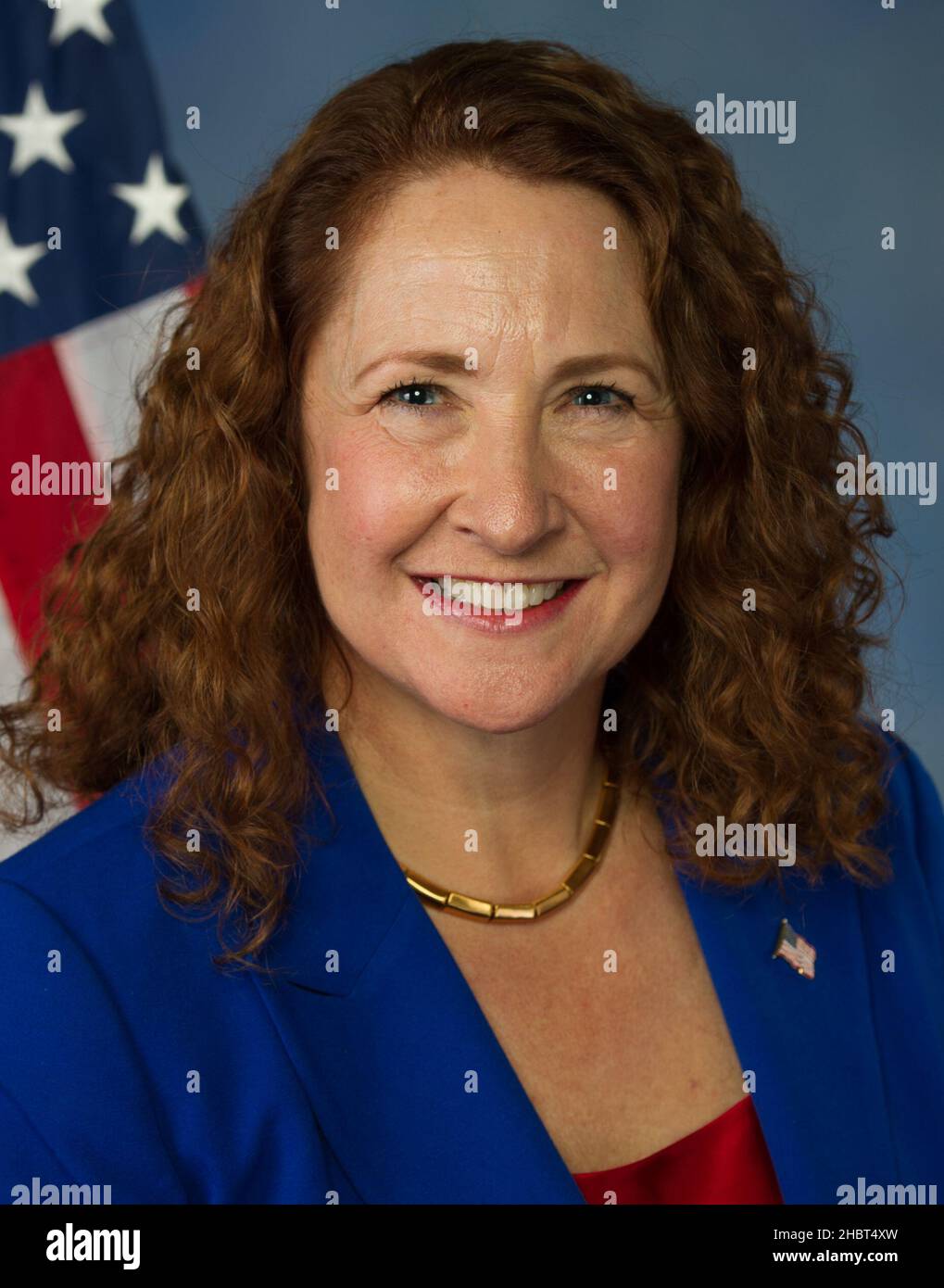 Elizabeth Esty, ritratto ufficiale del Congresso 114th ca. 1 aprile 2015 Foto Stock