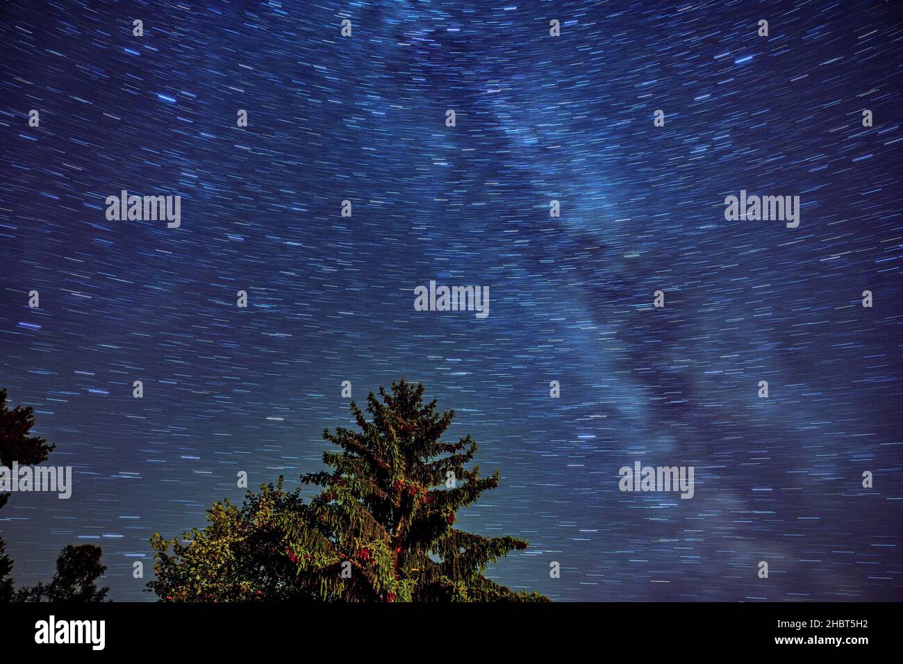 Ramo di albero e stella di miliardo e costellazione con movimento sfocato sul cielo sullo sfondo. Cielo d'autunno, verso sud-est, Turnov, repubblica Ceca. Foto Stock