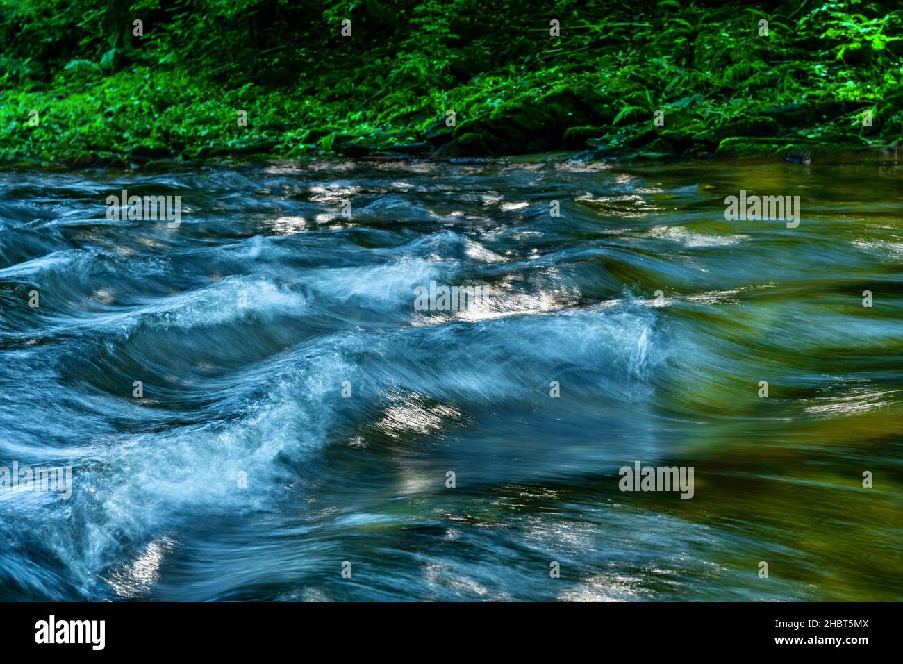 Flusso d'acqua blu rapido e veloce e onda sulla riva verde del fiume, sfocato in movimento. Fiume Kamenice, repubblica Ceca. Foto Stock