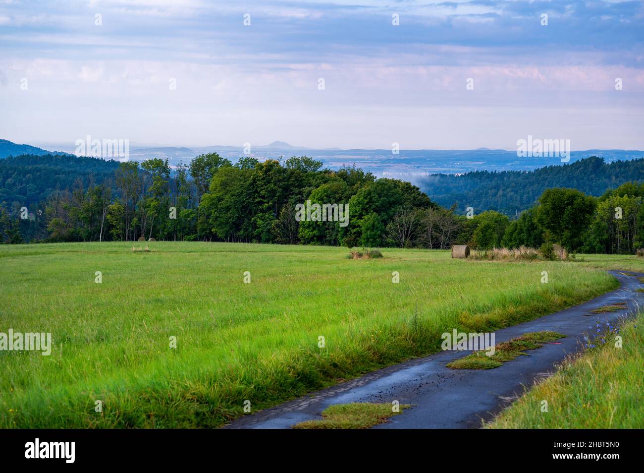 Prato verde, molte colline blu sullo sfondo, albero e legno in ampio paesaggio all'orizzonte dopo la pioggia del mattino. Mirova pod Kozakovem, natura Repubblica Ceca. Foto Stock