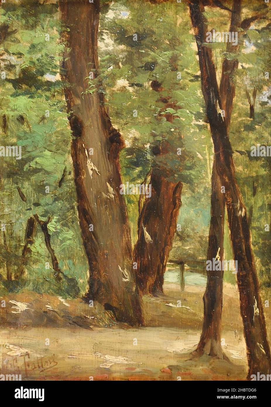Fattori Giovanni - Collezione privata - Paesaggio boschivo - NO date - olio su legno 13,5 x 28,5 cm Foto Stock