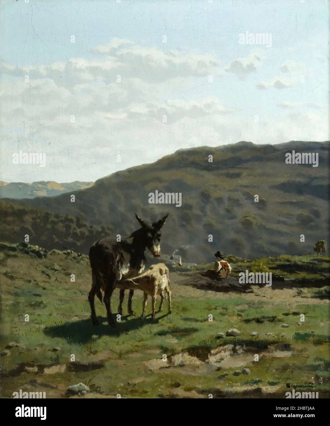 Asinello poppante - 1860c. - olio su tela 52 x 44,5 cm - Signorini Telemaco Foto Stock