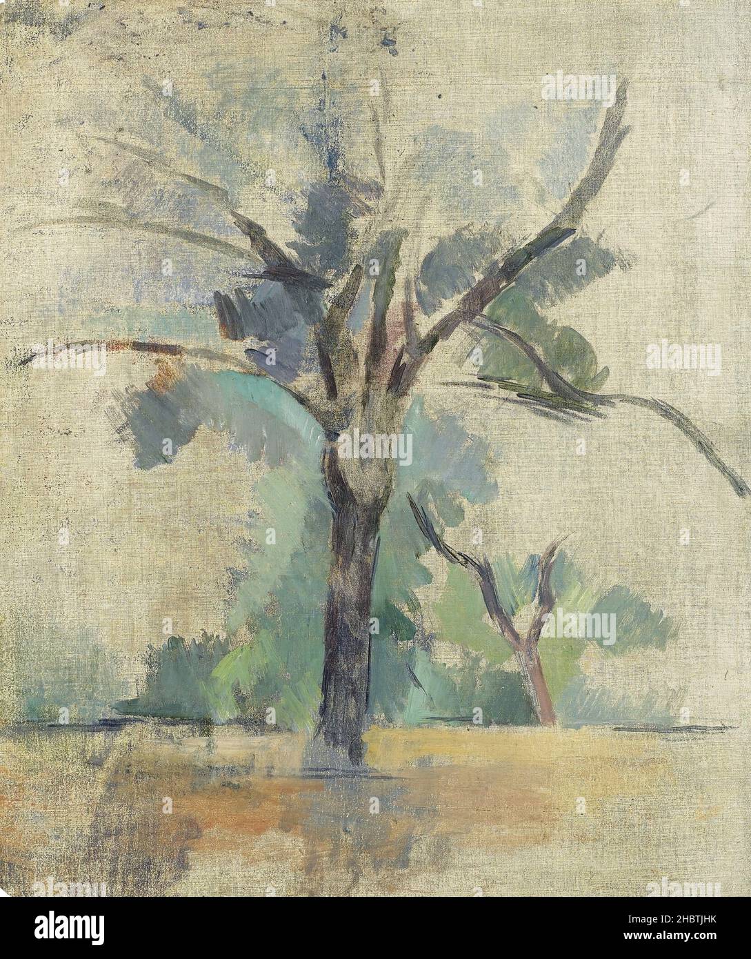 Arbres - 1900 04 - olio su tela 44 x 37 cm - Cézanne Paul Foto Stock