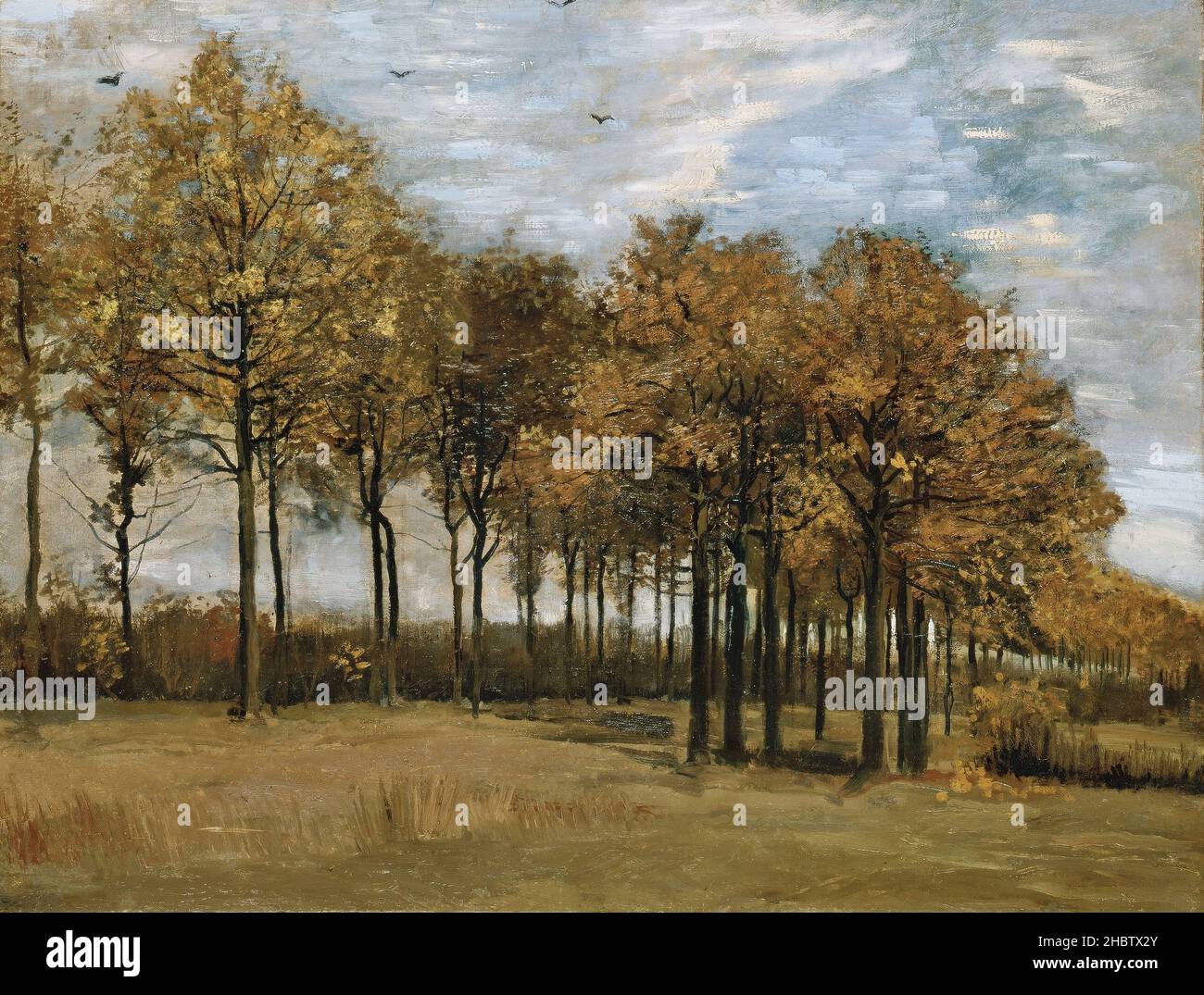 Paesaggio autunnale - 1885 - olio su tela 64,8 x 86,4 cm - Van Gogh Vincent Foto Stock