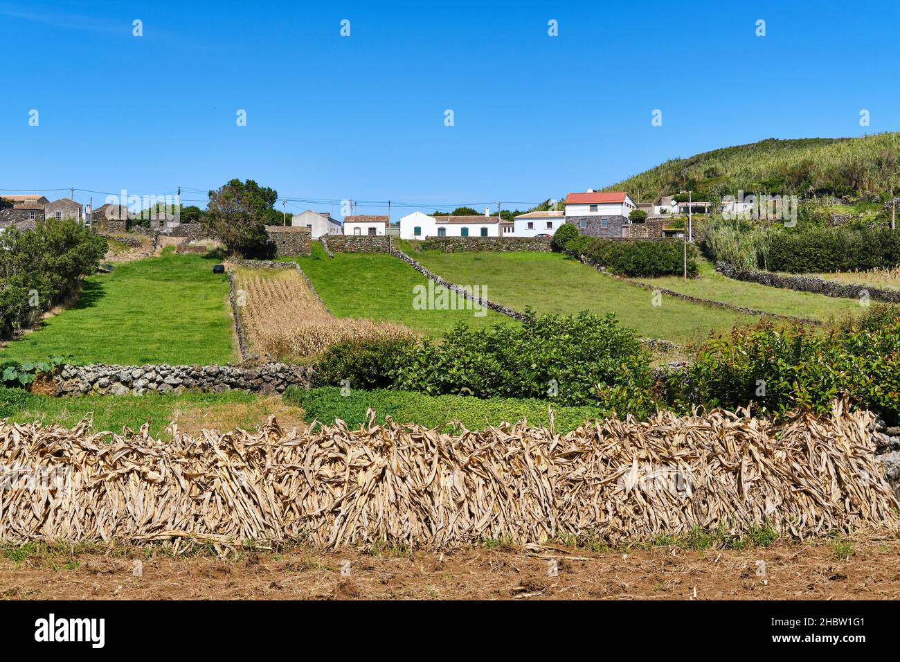 Un piccolo villaggio a Serra Branca. Isola Graciosa, Azzorre. Portogallo Foto Stock