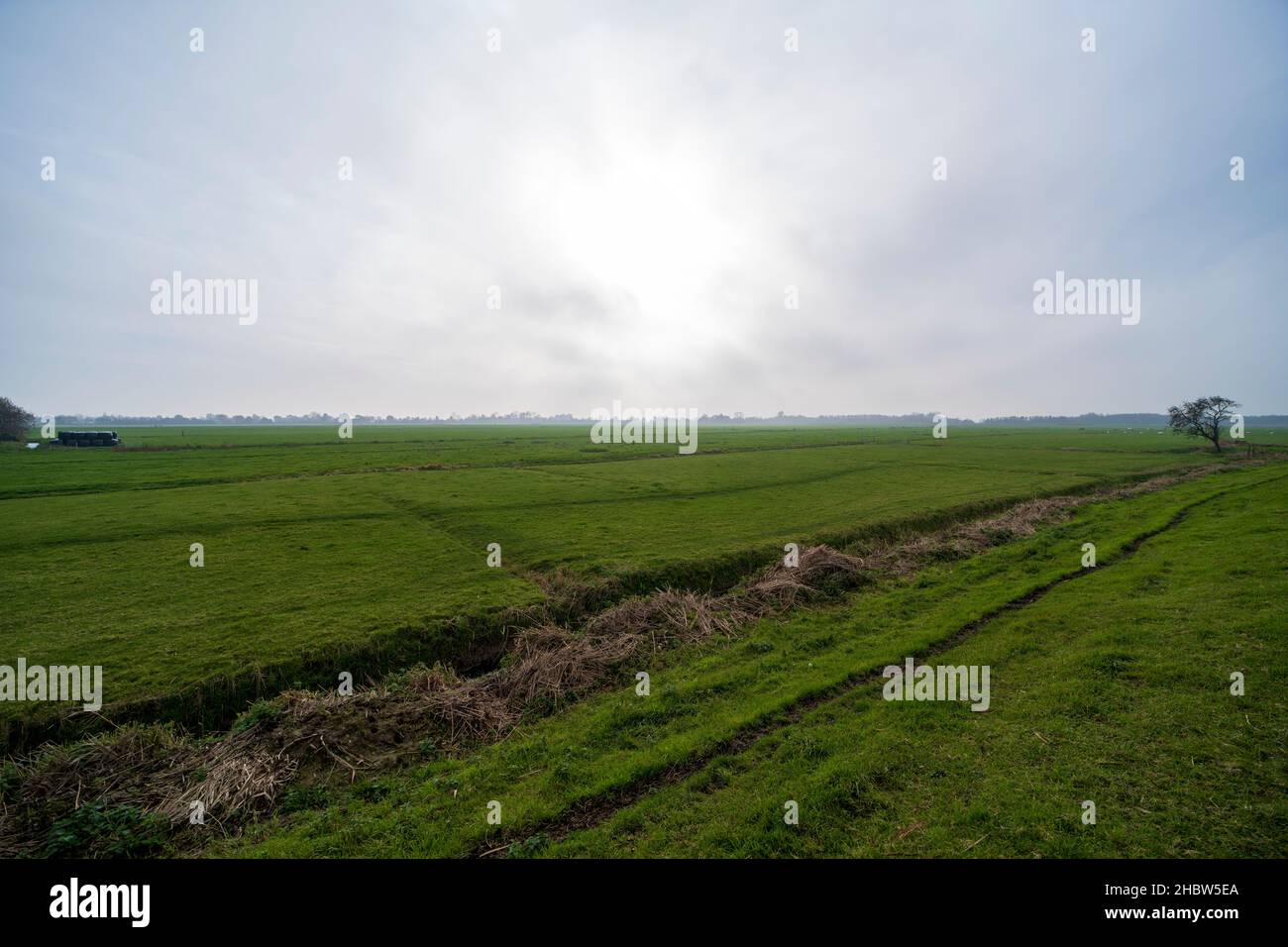 Paesaggio di un fosso e terreni agricoli Foto Stock