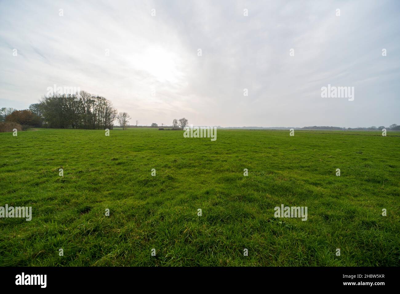 Olandese autunno paesaggio della campagna Foto Stock