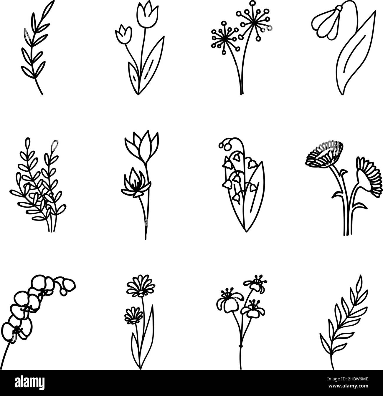 Doodles Erbe e fiori, set di fiori disegnati a mano, set floreale di fiori e foglie, oggetti vettoriali isolati su sfondo bianco. Illustrazione Vettoriale