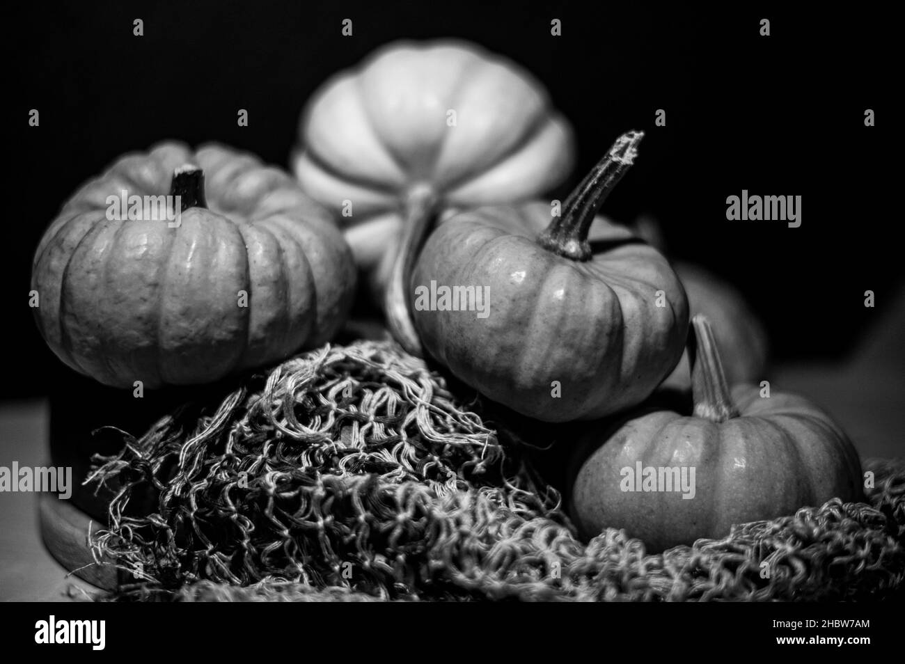 natura morta Foto Stock