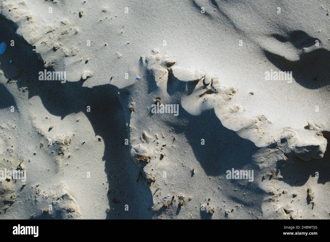 Luce e ombra in sabbia fine Foto Stock