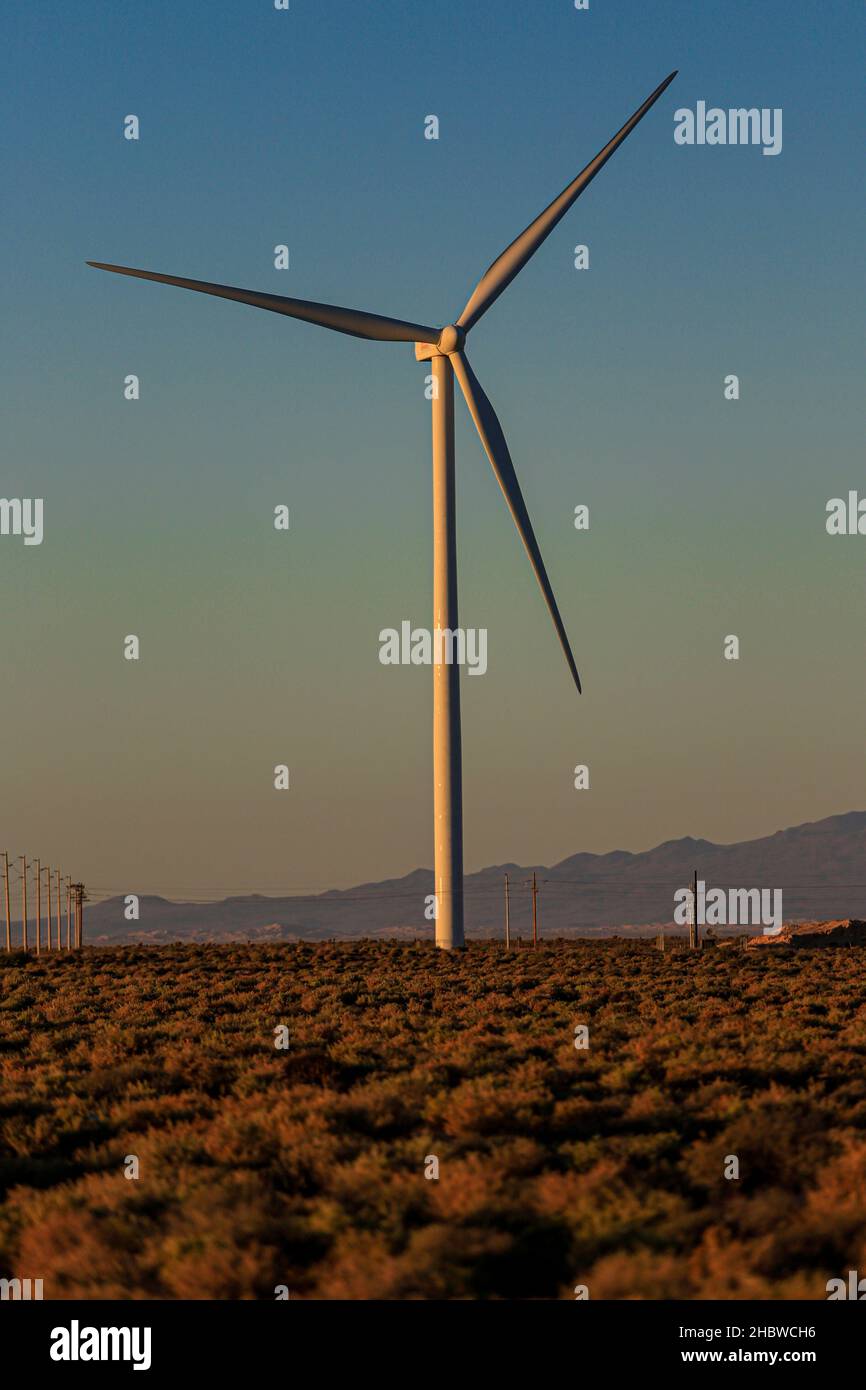 Modello Di Turbina Eolica Didattica Con LED | Rotazione 360° | Generatore Mini Per Esperimenti Di Energia Rinnovabile | 20 Cm - 3