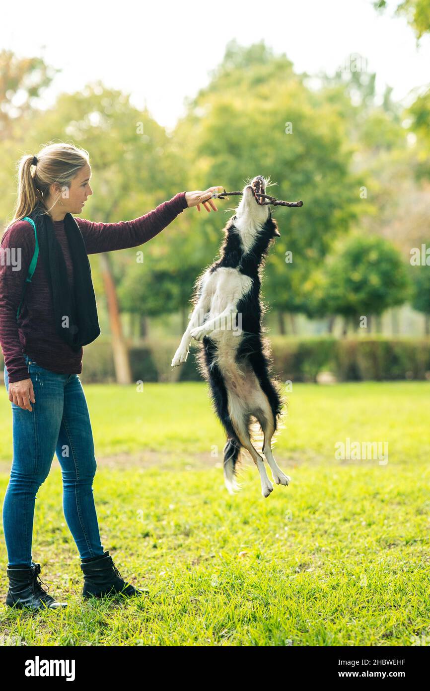 Donna che gioca con un bastone e un cane in un parco Foto Stock