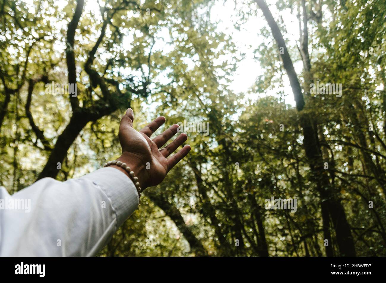 mano tesa con sfondo foresta che riceve speranza Foto Stock
