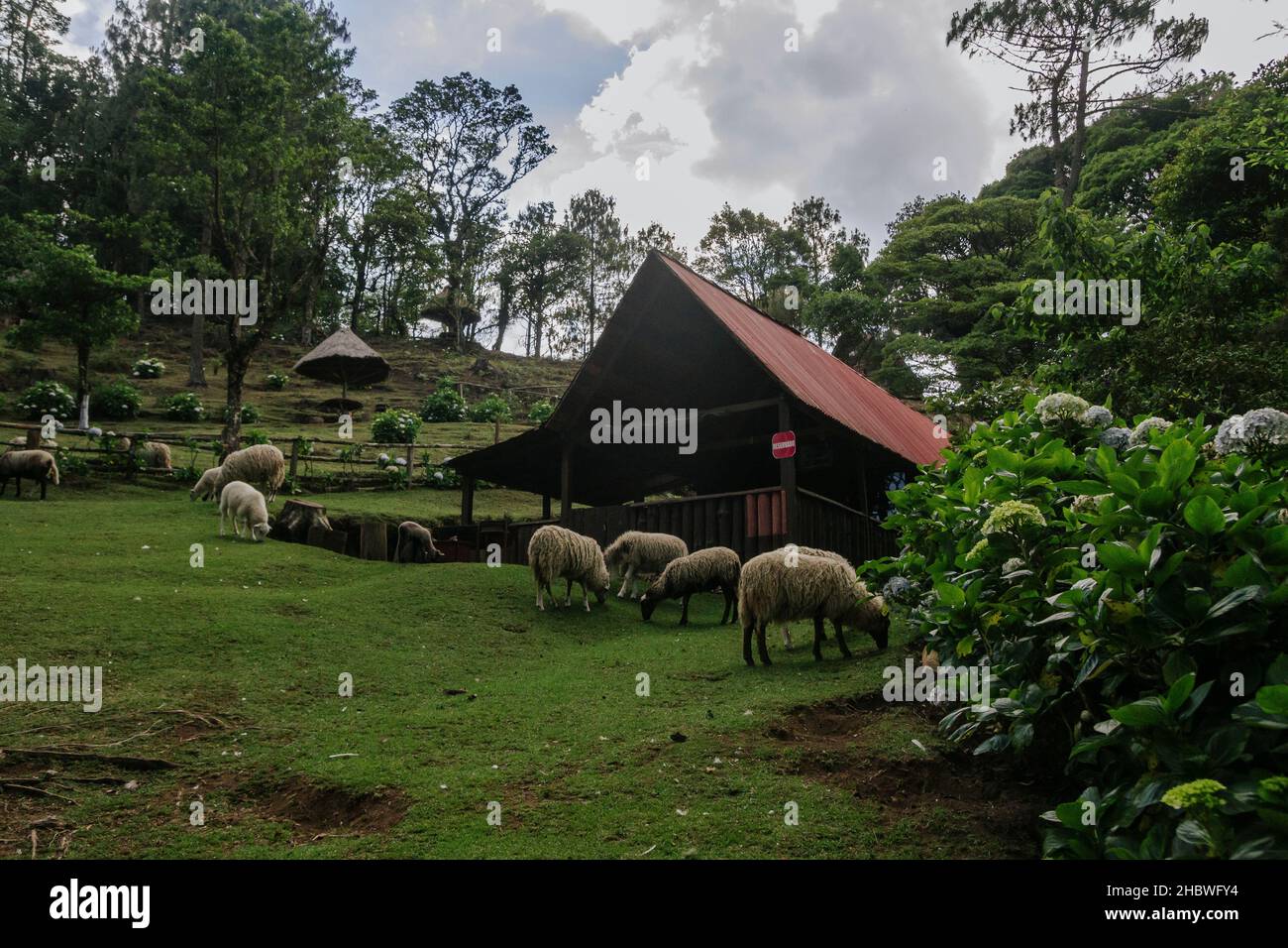 capanna all'aperto con pecora Foto Stock