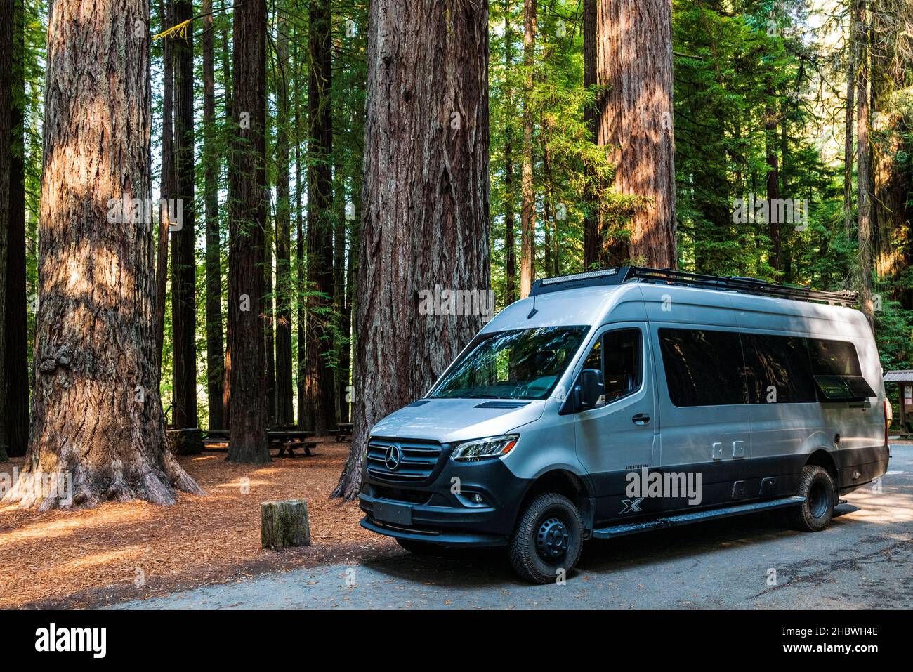 Airstream Interstate 24X 4WD camper; parchi nazionali e statali Redwoods; Oregon; USA Foto Stock