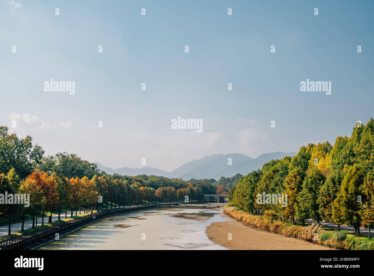 Gwanbangjerim autunno foresta e fiume a Damyang, Corea Foto Stock