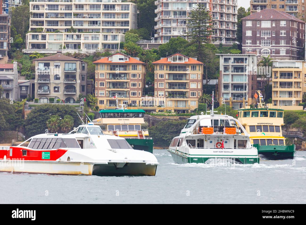 I traghetti di Sydney includono Borrowdale, Saint Mary MacKillop e May Gibbs sul porto di Sydney, NSW, Australia Foto Stock