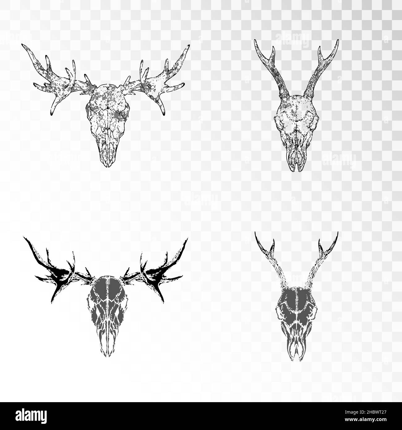 Set vettoriale di scafi disegnati a mano di capriolo e alce su sfondo trasparente. Silhouette nere e contorno con texture grunge. Per voi progettazione, prin Illustrazione Vettoriale