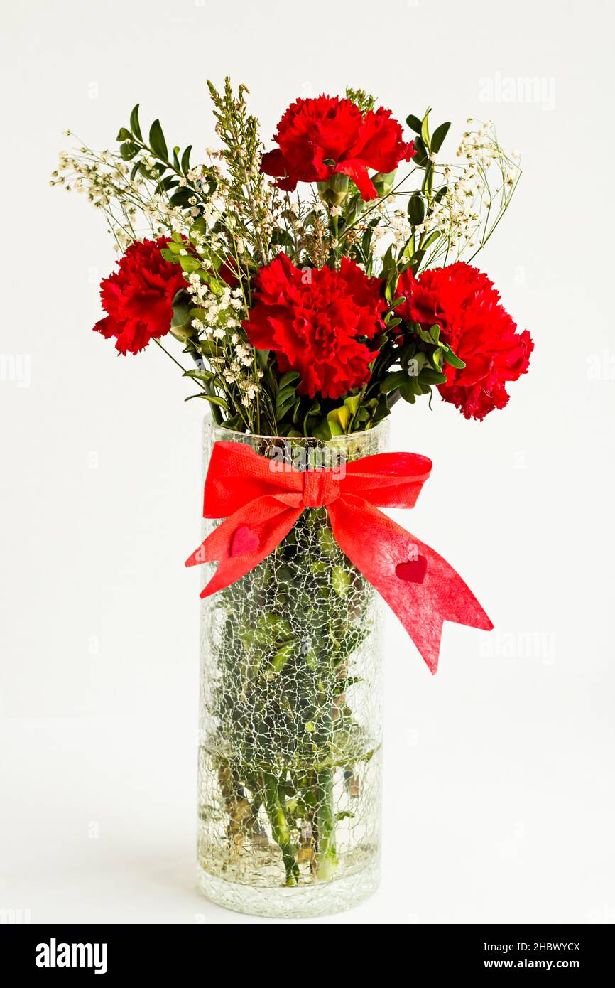 Freschi, fiori di garofano rosso in vaso decorativo di vetro con acqua sullo sfondo bianco.concetto per giorni speciali. Foto Stock