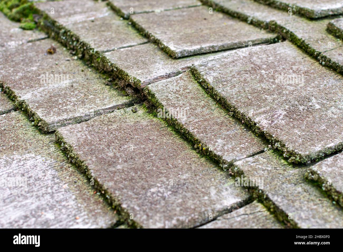 Messa a fuoco selettiva. Tetto in legno di scandole con muschio verde che cresce tra le scandole Foto Stock