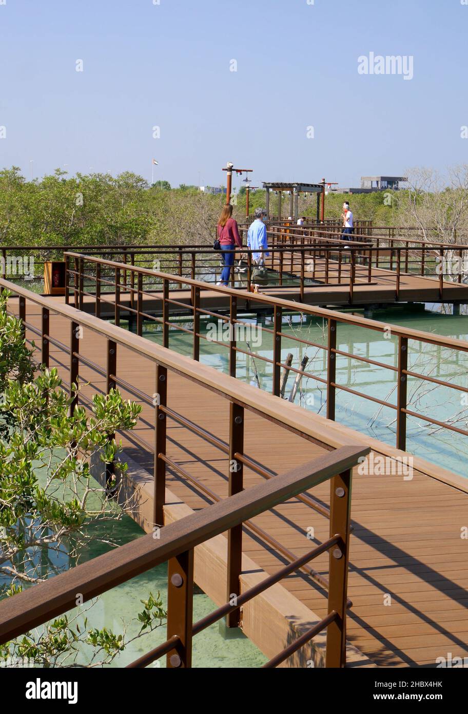 I turisti al Parco Mangrove di Jubail, con mangrovie grigie, Avicennia marina, Jubail Island, Abu Dhabi, Emirati Arabi Uniti Foto Stock