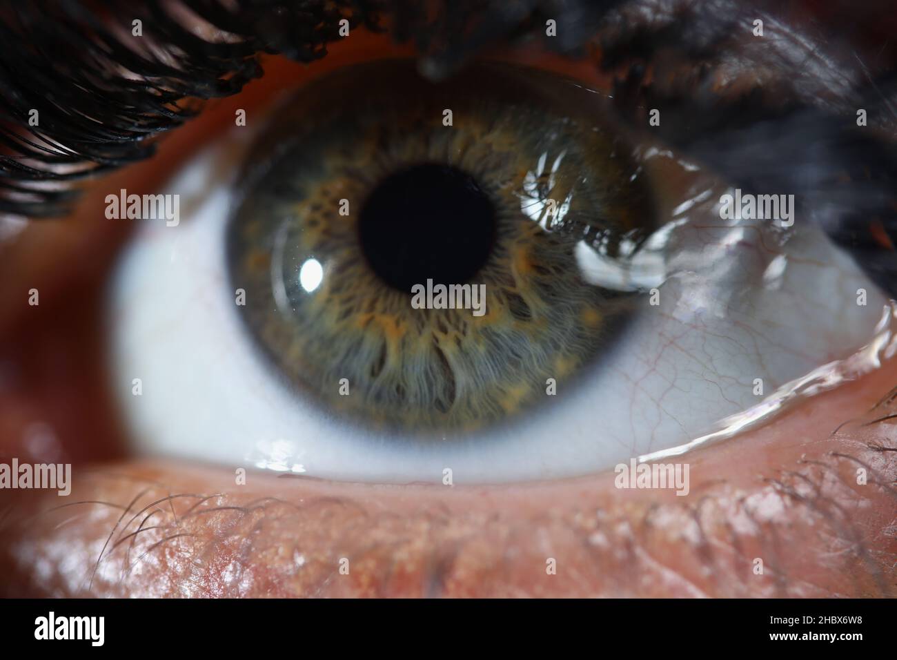 Bell'occhio donna verde con il prodotto di trucco mascara Foto Stock