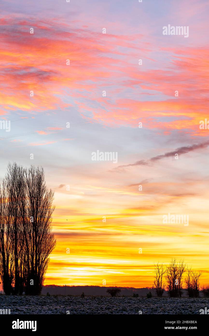 L'alba cielo su una linea di alberi di pioppo all'orizzonte. Cielo perlopiù chiaro con alcune macchie di cumulo fractus tipo nuvole. Campagna del Kent in Inghilterra. Inverno. Foto Stock