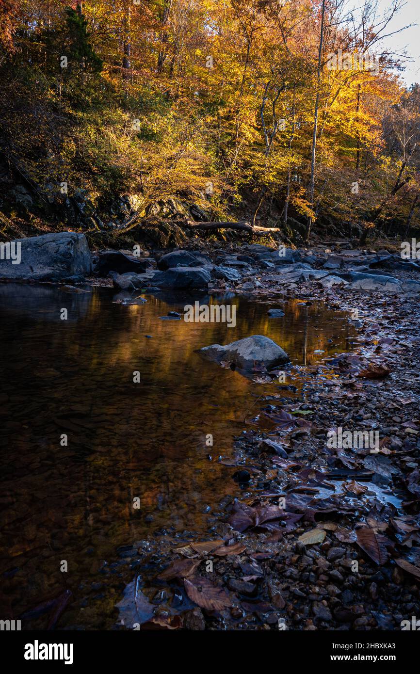 Scatto verticale di un fiume riflessivo e tranquillo circondato da alberi colorati in autunno Foto Stock