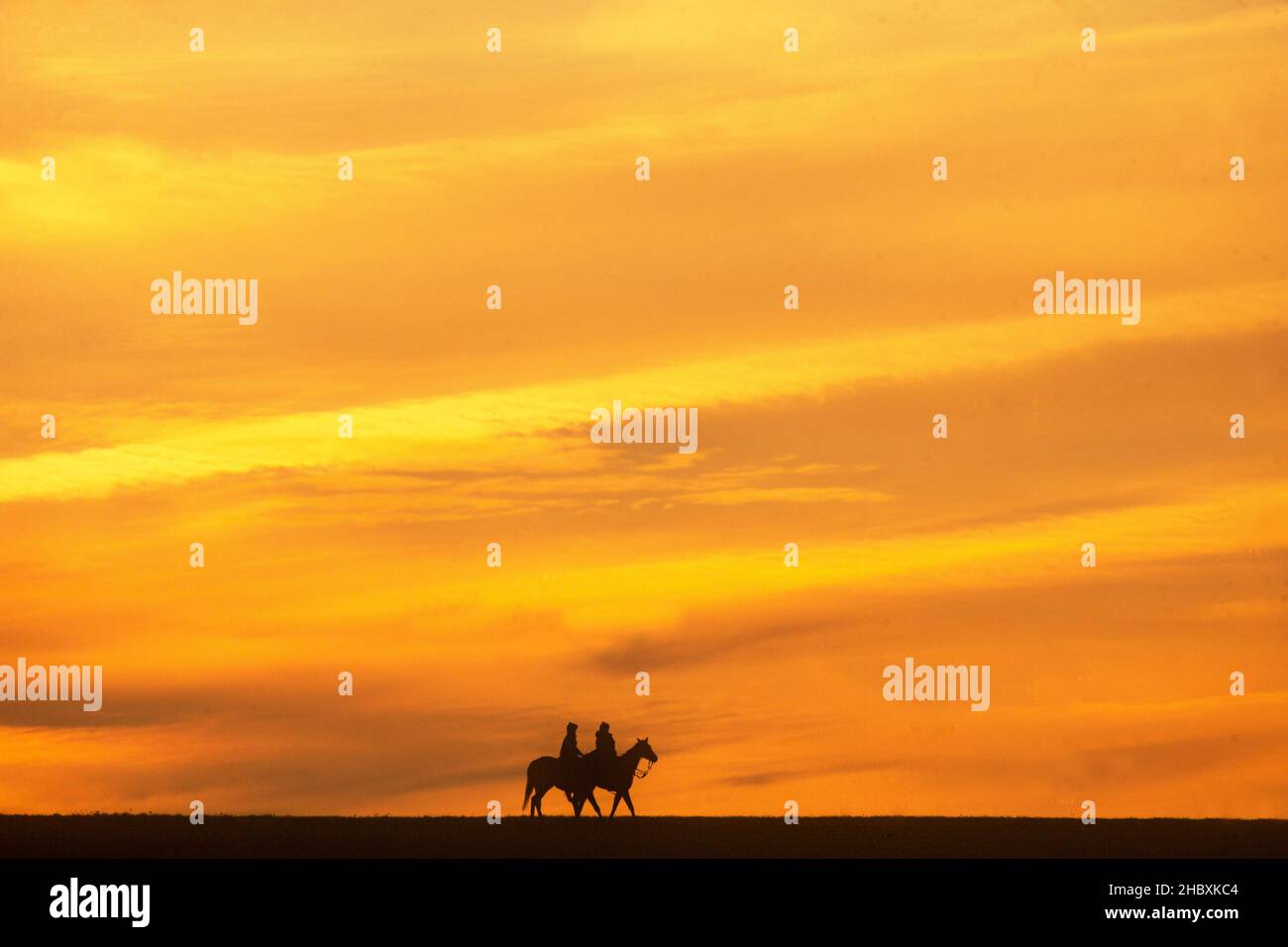 Newmarket, Suffolk Regno Unito. 22nd dicembre 2021. I cavalli da corsa sono messi attraverso i loro passi all'alba il primo giorno d'inverno sulle galoppe in Newmarket. Credit: Headlinephoto/Alamy Live News Foto Stock