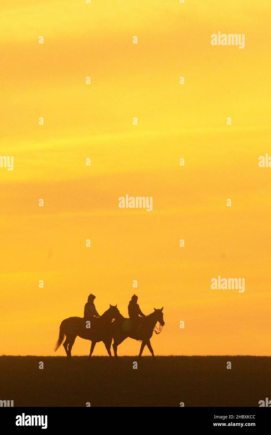 Newmarket, Suffolk Regno Unito. 22nd dicembre 2021. I cavalli da corsa sono messi attraverso i loro passi all'alba il primo giorno d'inverno sulle galoppe in Newmarket. Credit: Headlinephoto/Alamy Live News Foto Stock