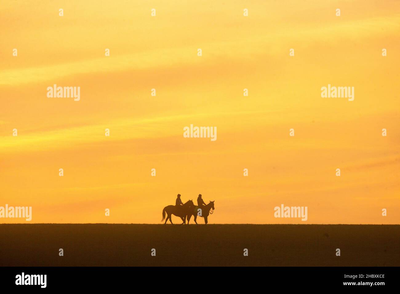 Newmarket, Suffolk Regno Unito. 22nd dicembre 2021. I cavalli da corsa sono messi attraverso i loro passi all'alba il primo giorno d'inverno sulle galoppe in Newmarket. Credit: Headlinephoto/Alamy Live News Foto Stock