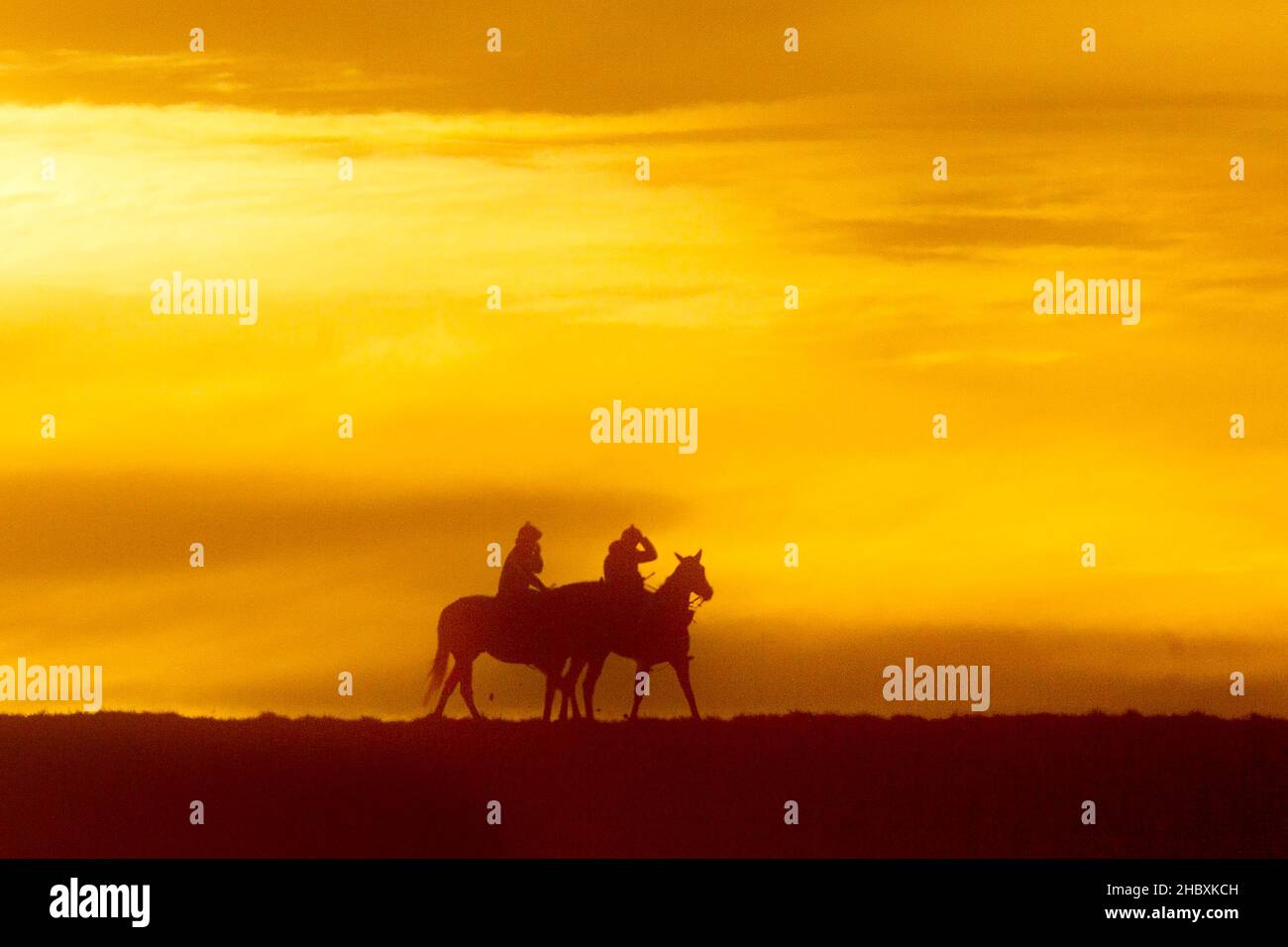 Newmarket, Suffolk Regno Unito. 22nd dicembre 2021. I cavalli da corsa sono messi attraverso i loro passi all'alba il primo giorno d'inverno sulle galoppe in Newmarket. Credit: Headlinephoto/Alamy Live News Foto Stock