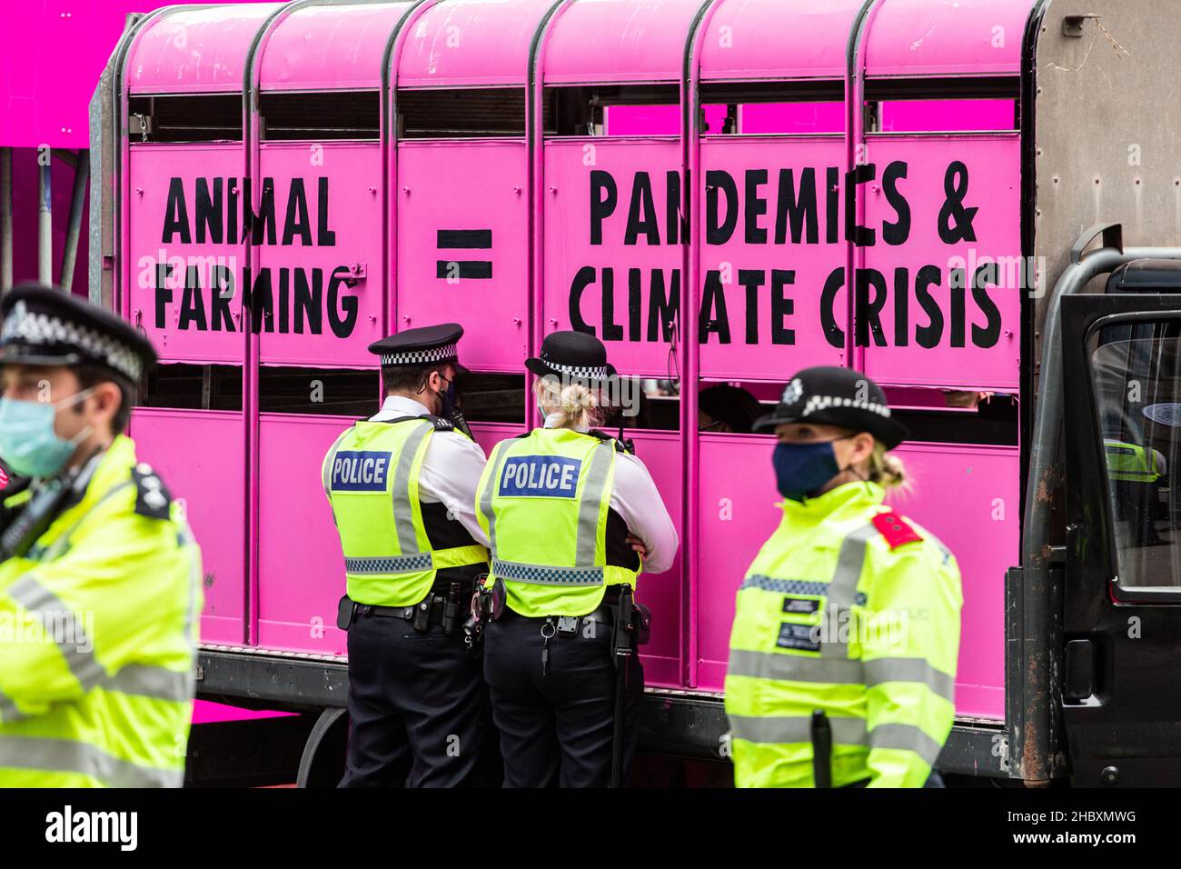 La polizia parla con gli attivisti della ribellione animale in camion rosa con messaggio allevamento di animali pari pandemie e crisi climatica Londra 2020 Foto Stock