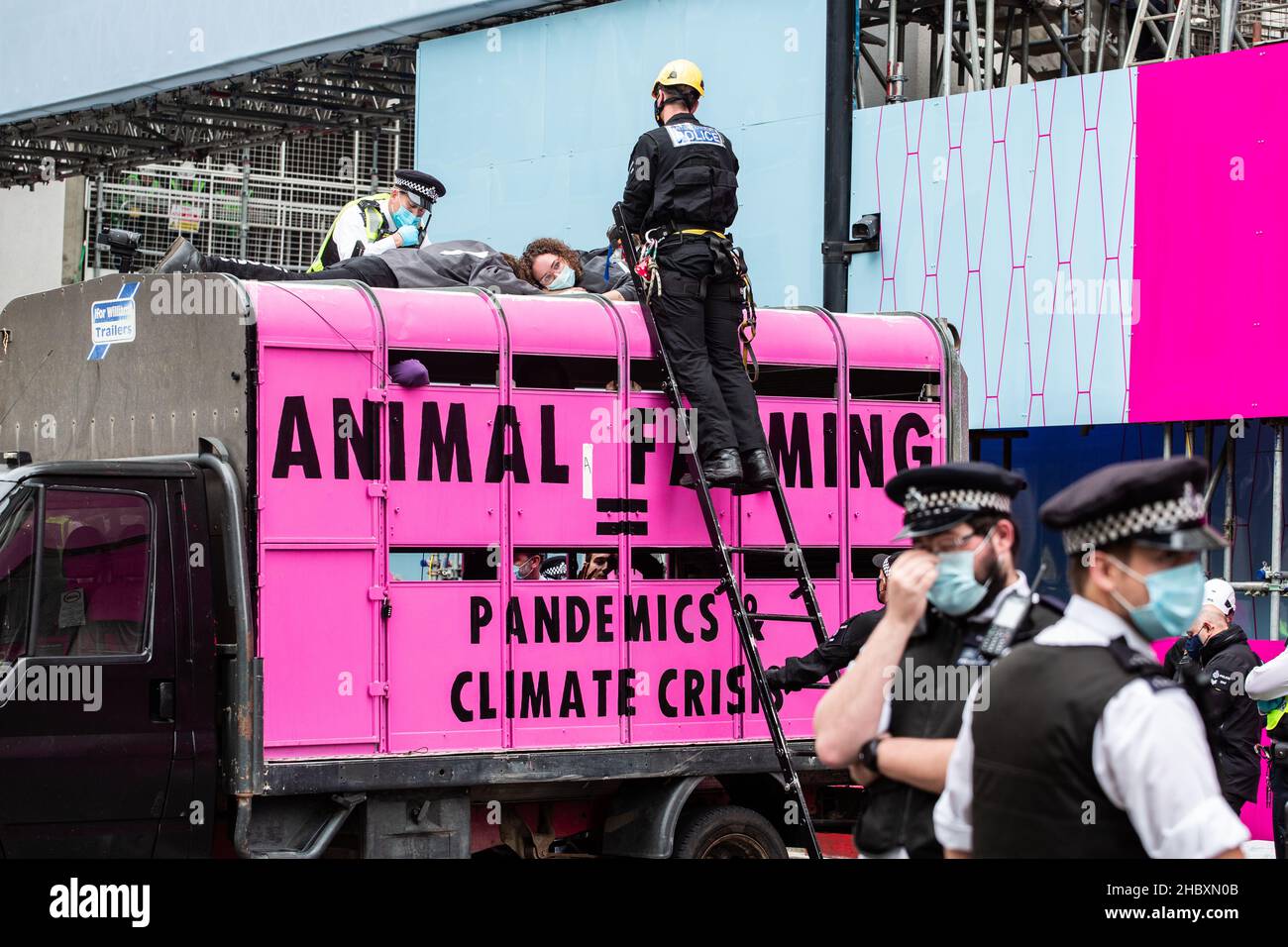 I manifestanti della ribellione animale in cima al camion rosa del macello con l'allevamento animale della polizia eguaglia le pandemie e la crisi climatica Londra 2020 Foto Stock