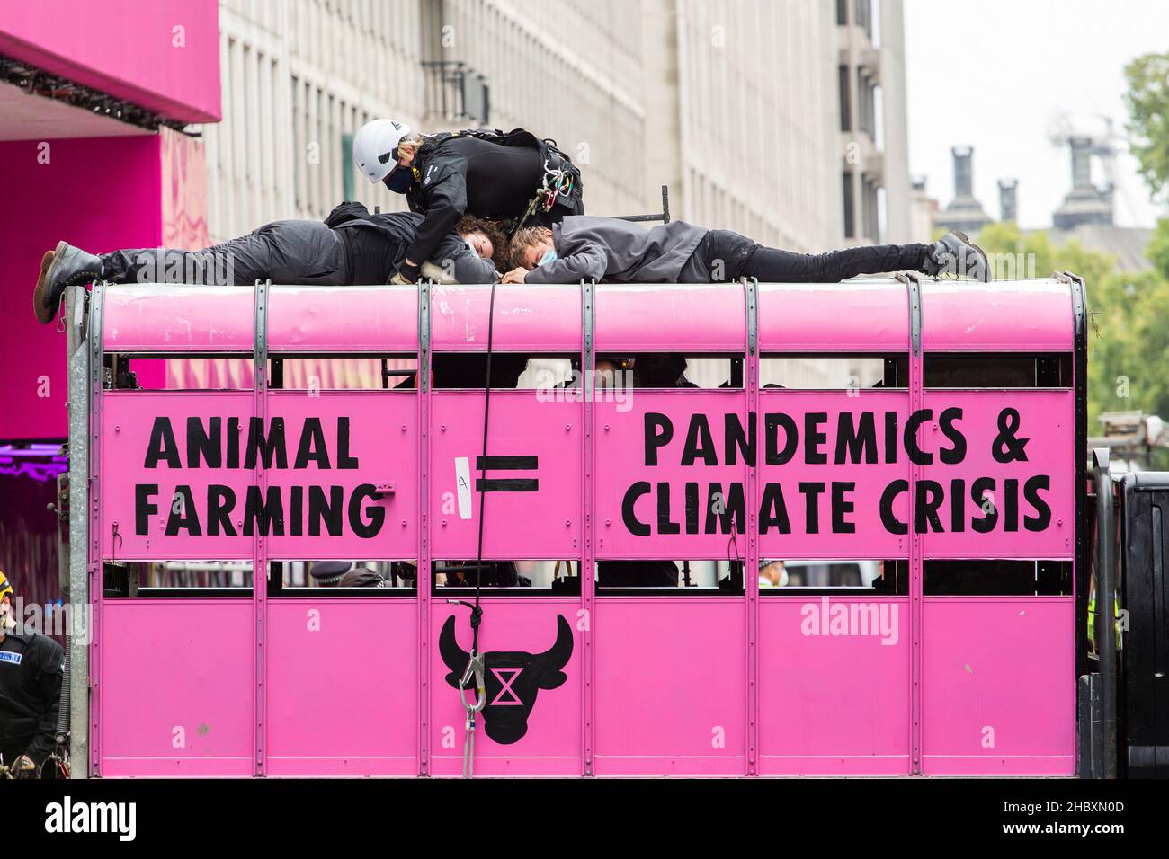 I manifestanti di ribellione animale con la polizia in cima al mattatoio rosa camion Animal Farming eguaglia pandemie e clima crisi Londra 2020 Foto Stock