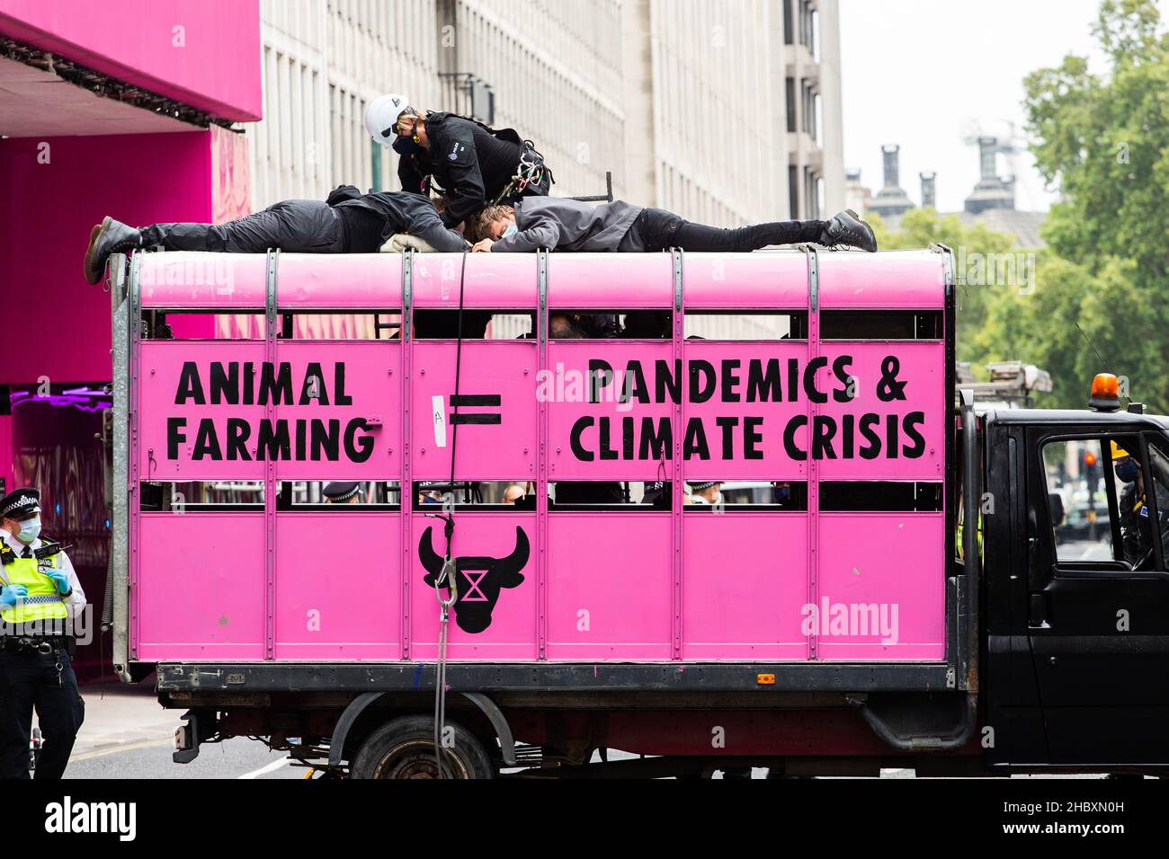 Gli attivisti della ribellione animale in cima al camion rosa del macello Animal Farming eguaglia le pandemie e la crisi climatica a Londra 2020 Foto Stock