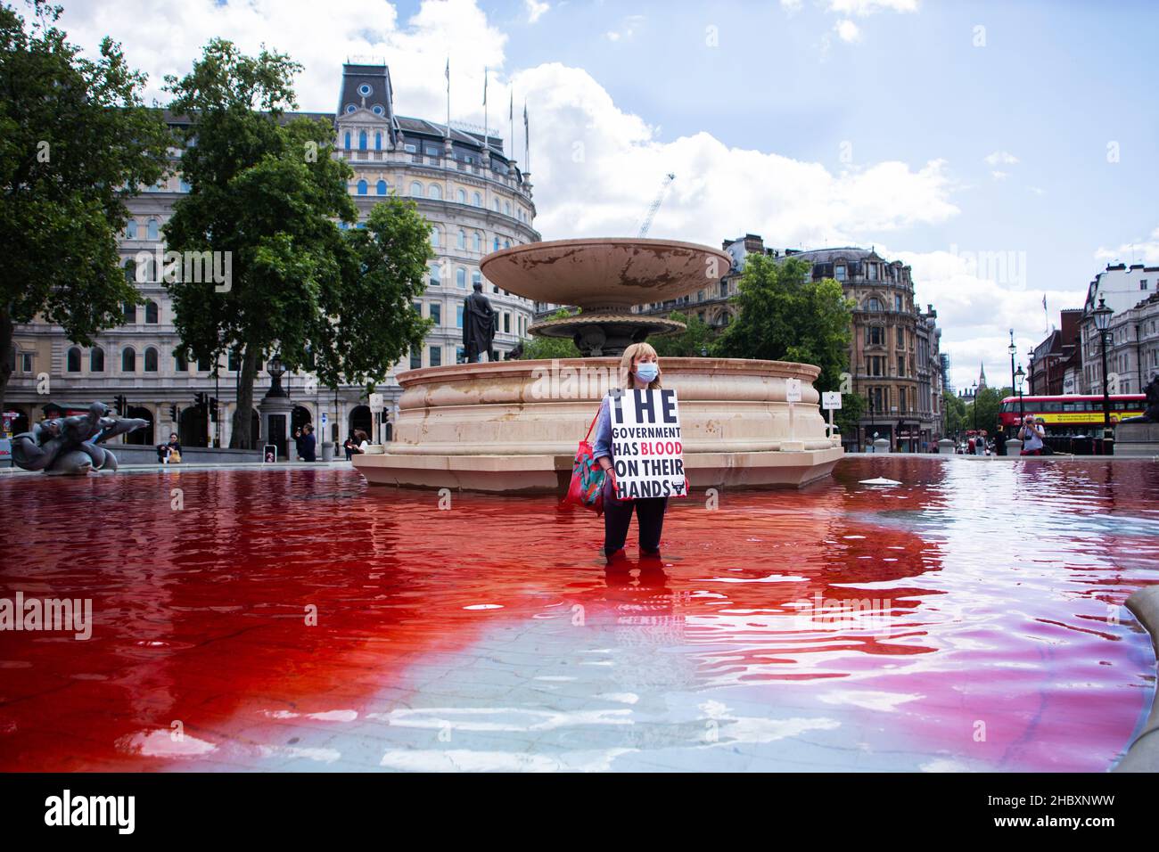 Attivista della ribellione animale in piedi in acqua rossa a Trafalgar Square fontana tenendo il governo ha sangue sulle mani placard Londra 2020 Foto Stock