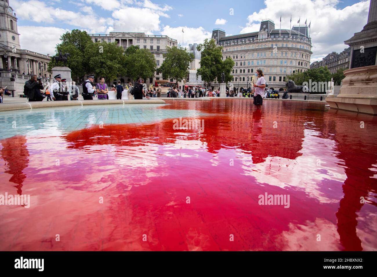 Attivista della ribellione animale in piedi in acqua rossa fontana in Trafalgar Square il governo ha sangue sulle mani placard Londra 2020 Foto Stock