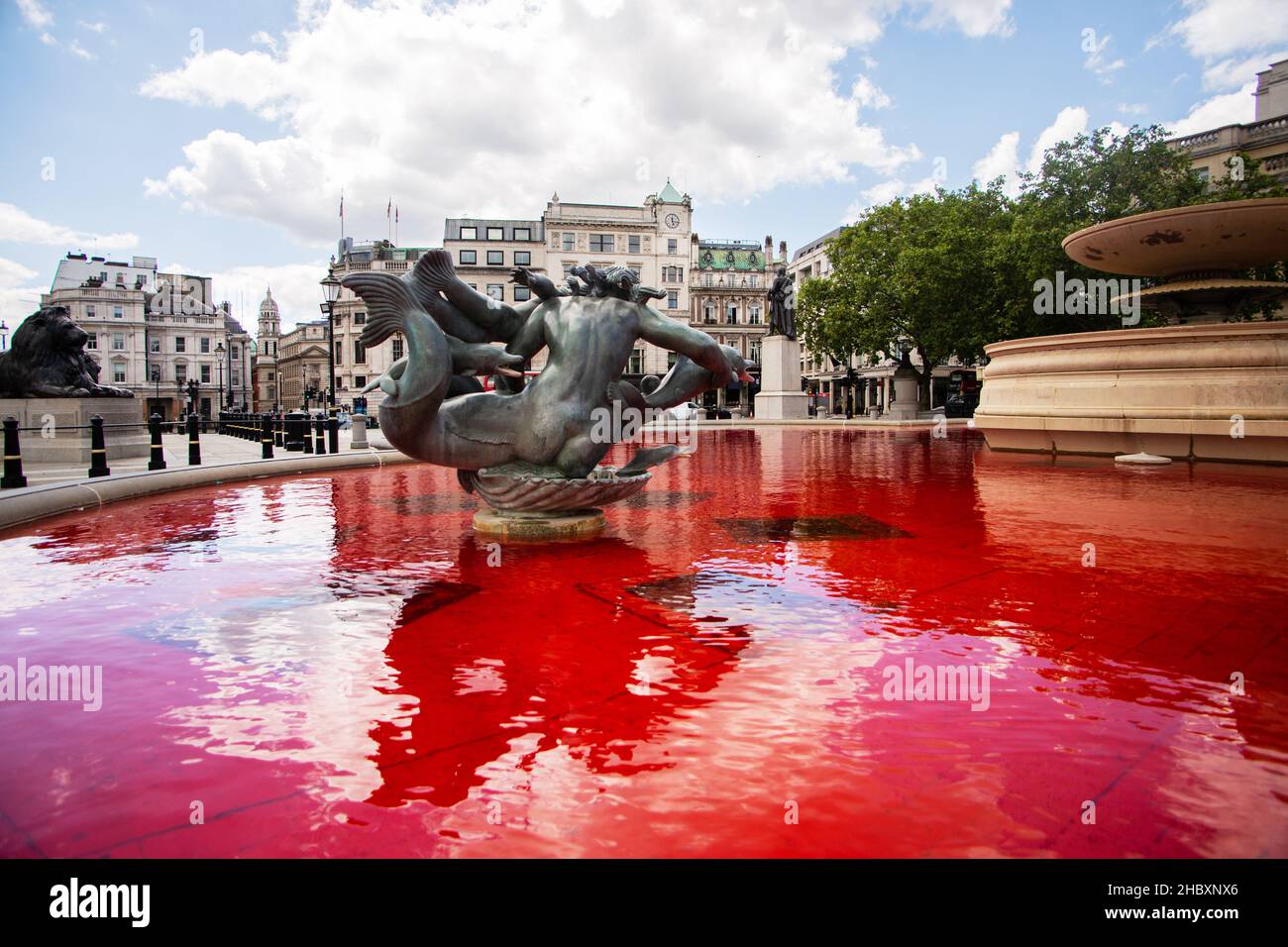 Vista dell'acqua rossa nella fontana di Trafalgar Square dopo la ribellione animale sangue sulle mani protesta Londra 2020 Foto Stock