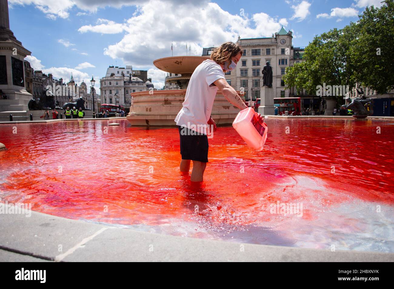Attivista della ribellione animale che versa colorante rosso nella fontana di Trafalgar Square London 2020 Foto Stock