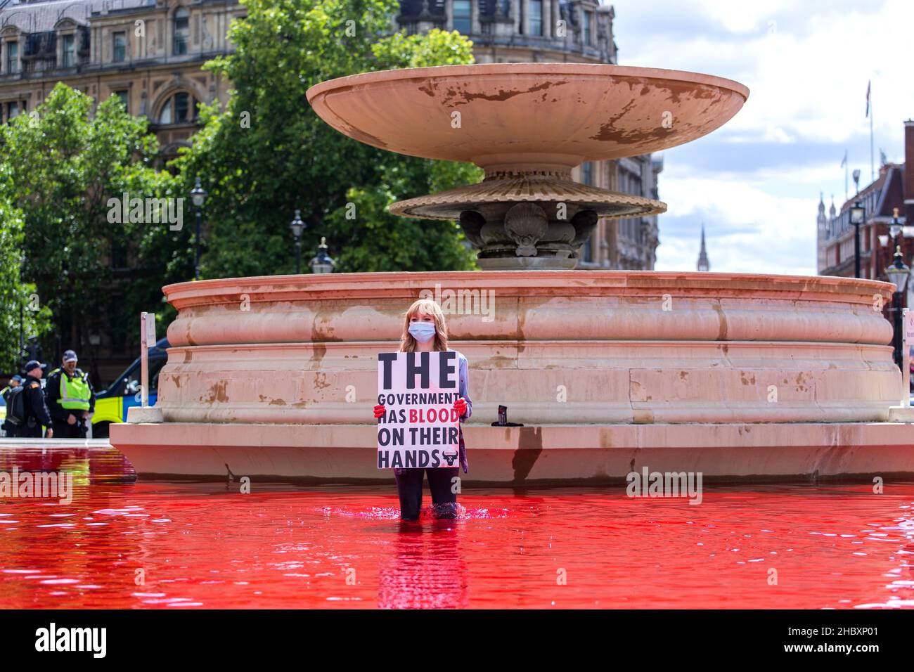 Protestore della ribellione animale in piedi in acqua rossa nella fontana di Trafalgar Square tenendo sangue placard sulle mani Foto Stock