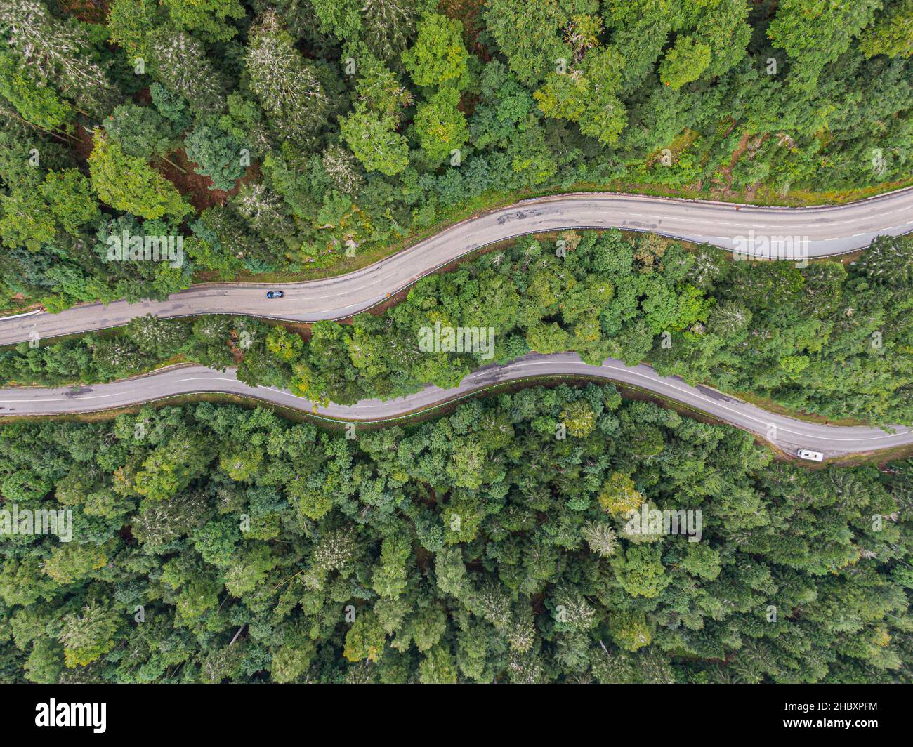 Vista aerea su due strade che attraversano le gole conifere foresta Foto Stock