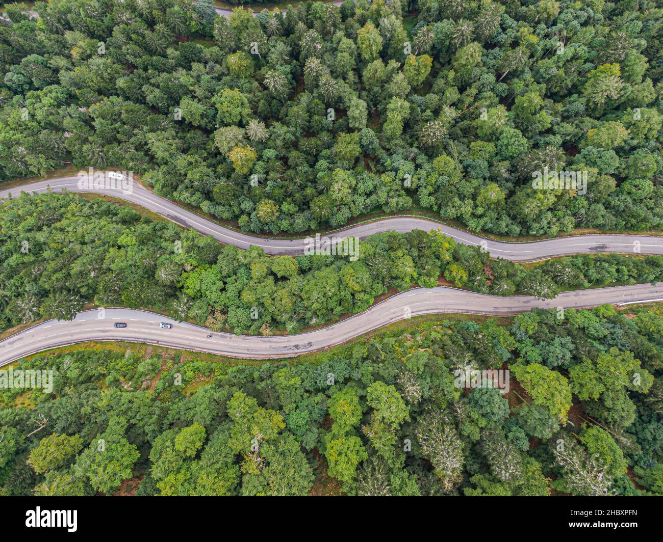 Vista aerea su due strade che attraversano le gole conifere foresta Foto Stock