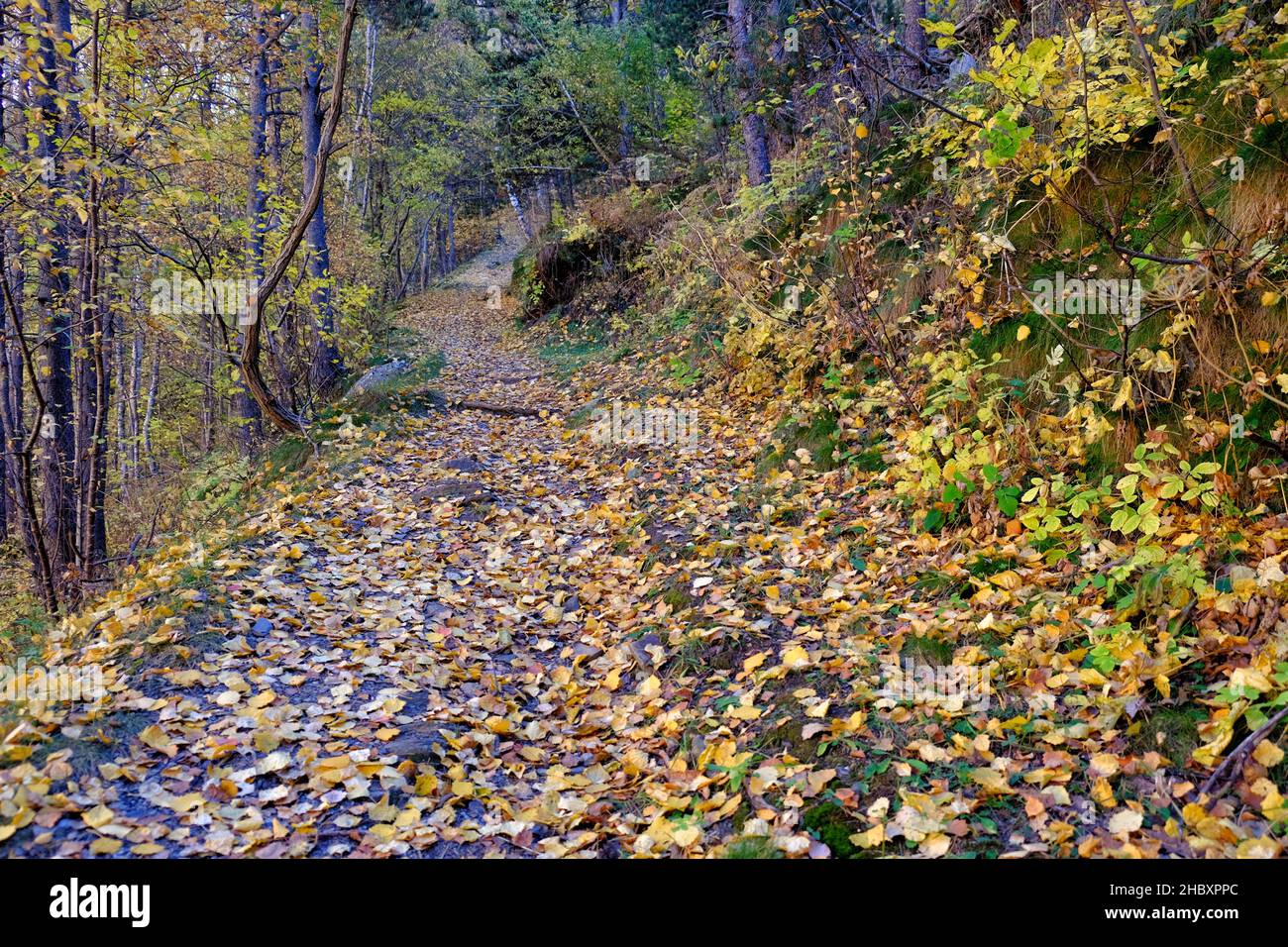 Otoño en Andorra, un paseo por el Vall d'Incles y por los alrededores de AINA Foto Stock