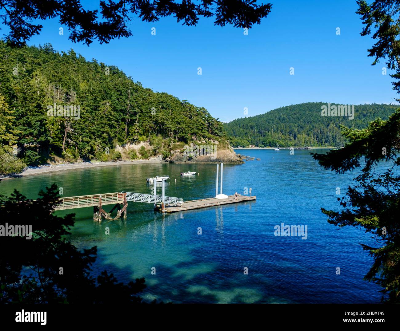 Ormeggia in una baia circondata da colline boscose. Foto Stock