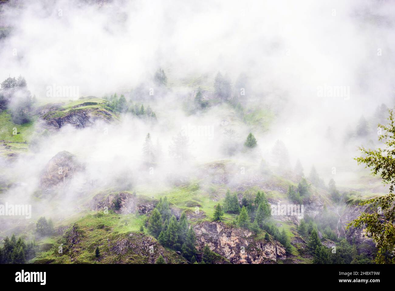 Foresta in montagna in nebbia o nebbia, vista elevata Foto Stock